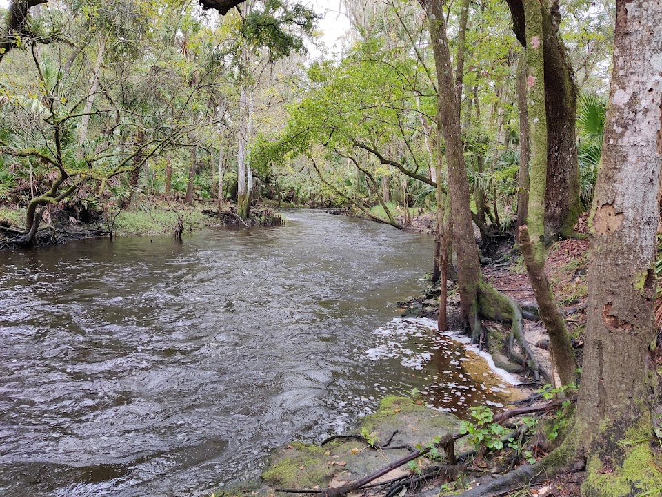Blackwater Creek Nature Preserve