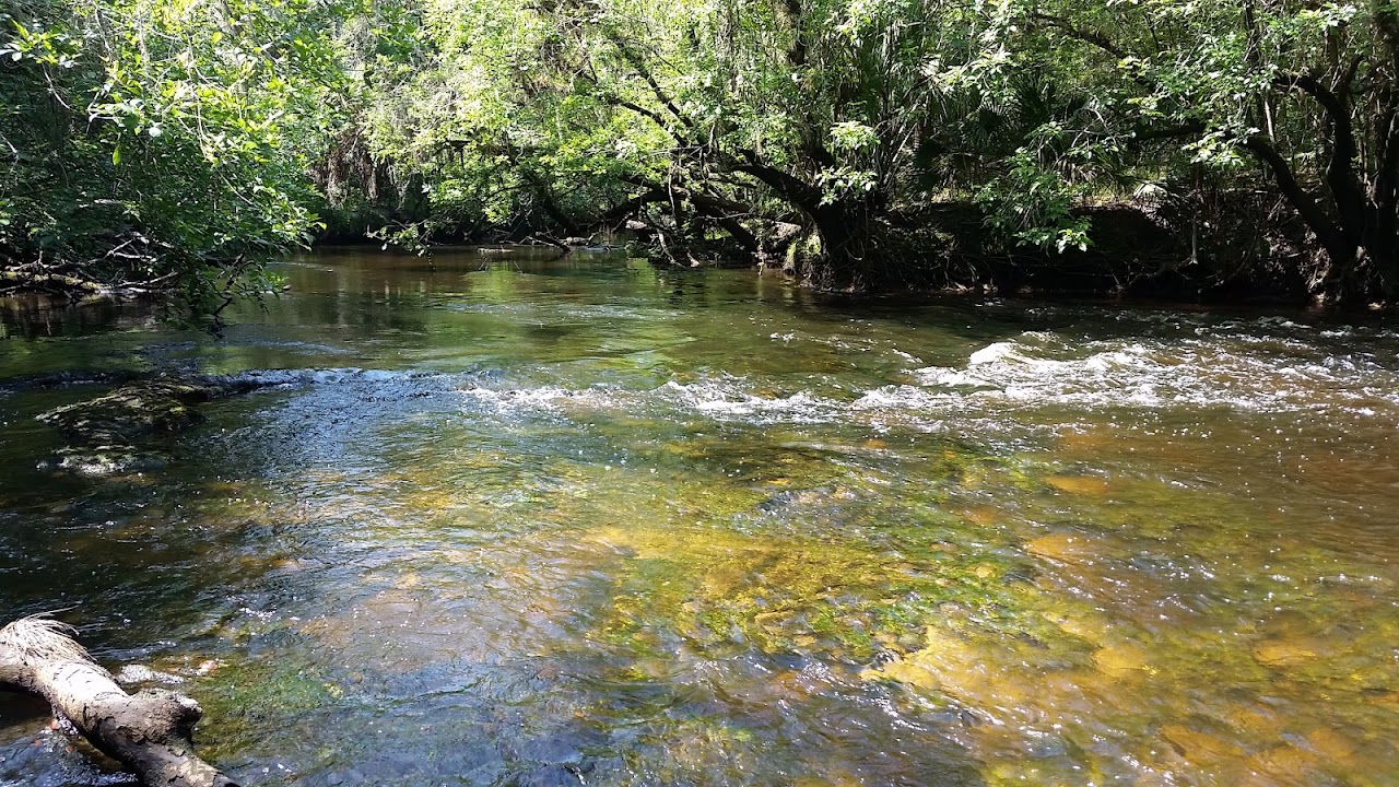 Aldermans Ford Nature Preserve