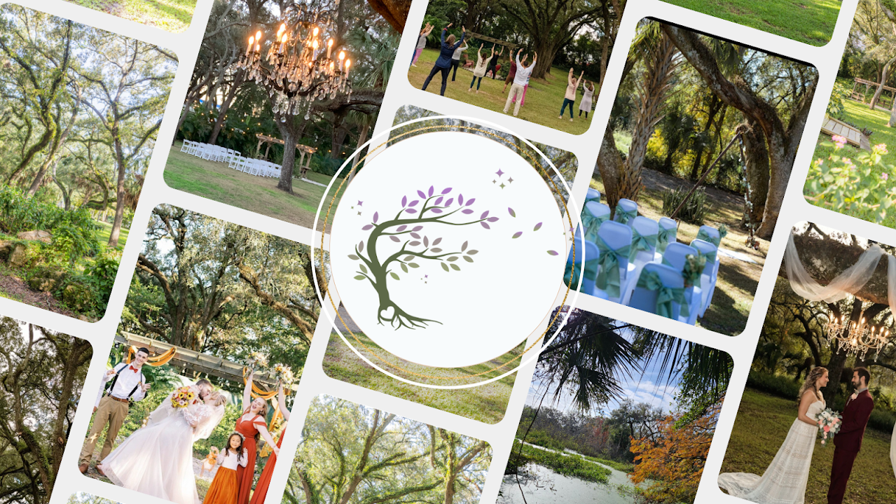 Under the Oaks Wellness and Events
