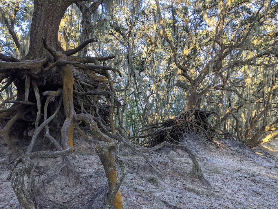Hillsborough County Medard Park