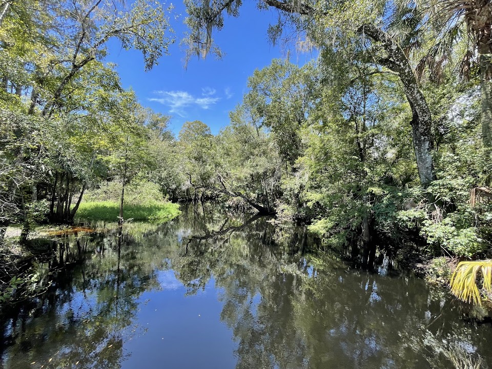 Wilderness Conservation Park Morris Bridge Site