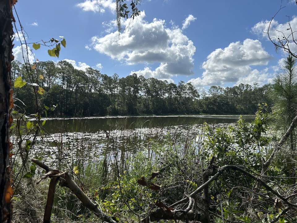 Wilderness Park Trout Creek Site