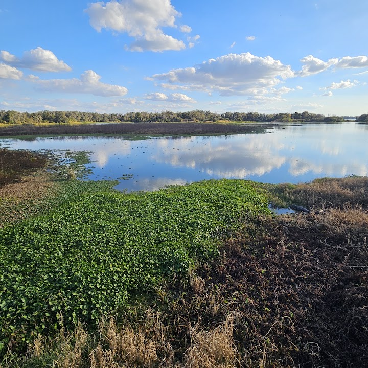 Medard Park Observation Boardwalk